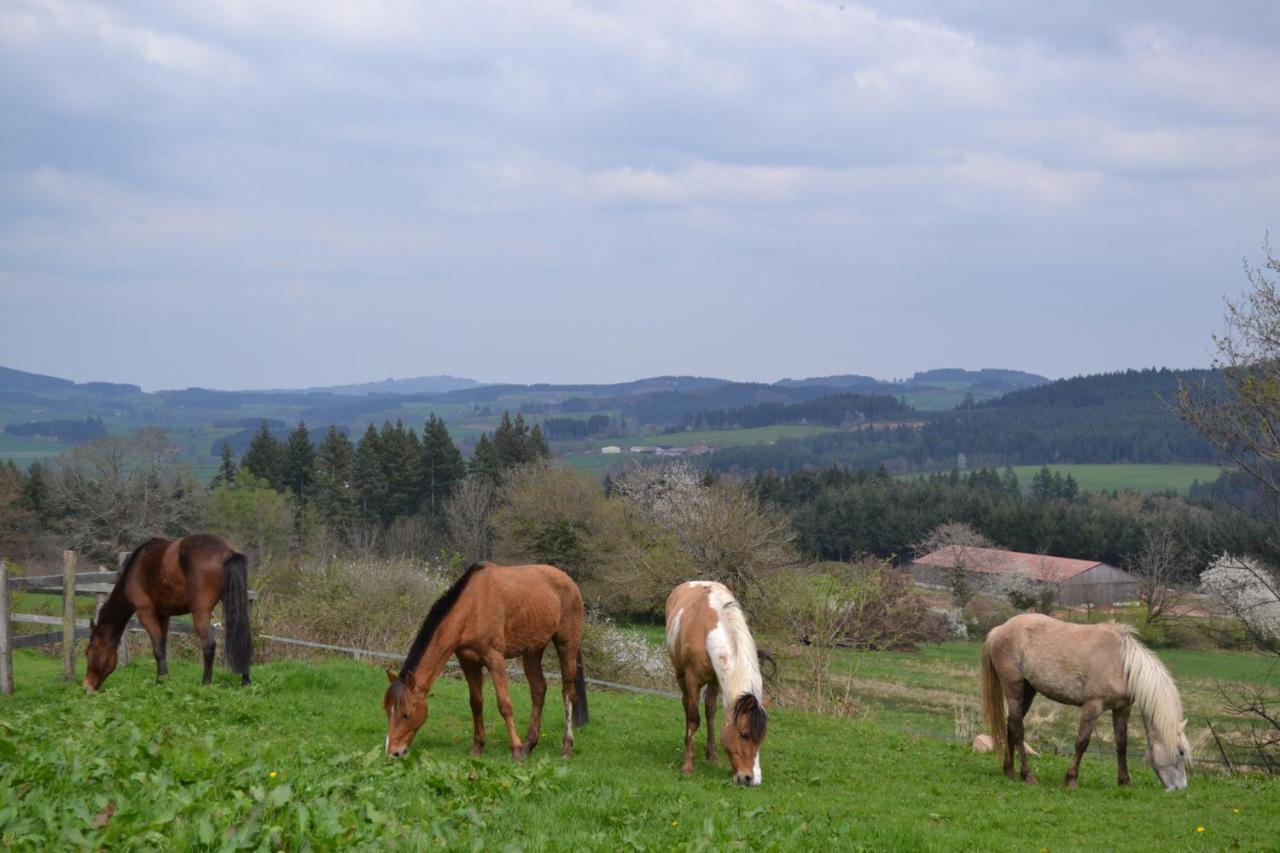 Les Perruchons Ancienne Grange Renovee Avec Soin Villa Ozolles Luaran gambar
