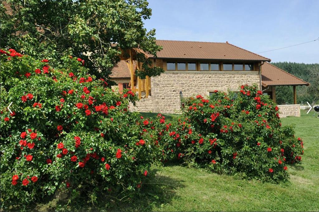 Les Perruchons Ancienne Grange Renovee Avec Soin Villa Ozolles Bilik gambar