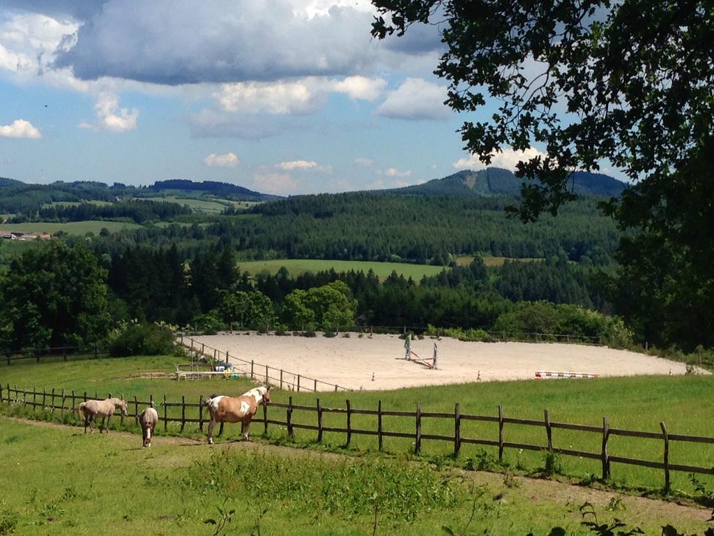 Les Perruchons Ancienne Grange Renovee Avec Soin Villa Ozolles Bilik gambar