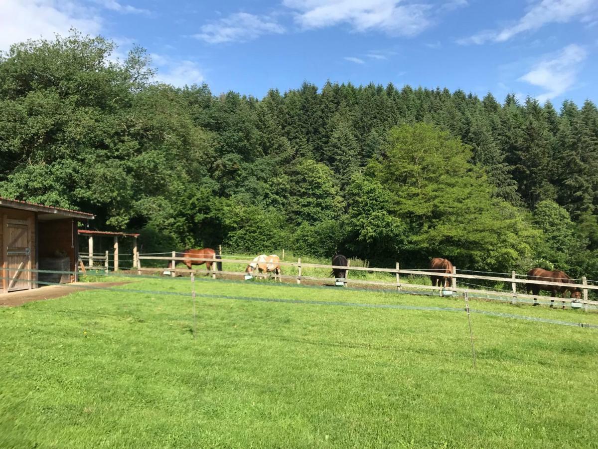 Les Perruchons Ancienne Grange Renovee Avec Soin Villa Ozolles Luaran gambar